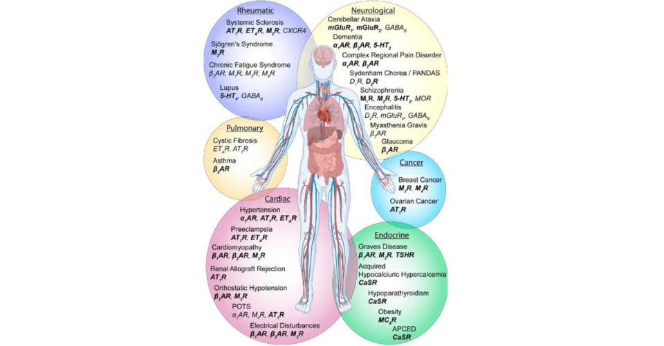 GPCR+ Autoantibody Testing