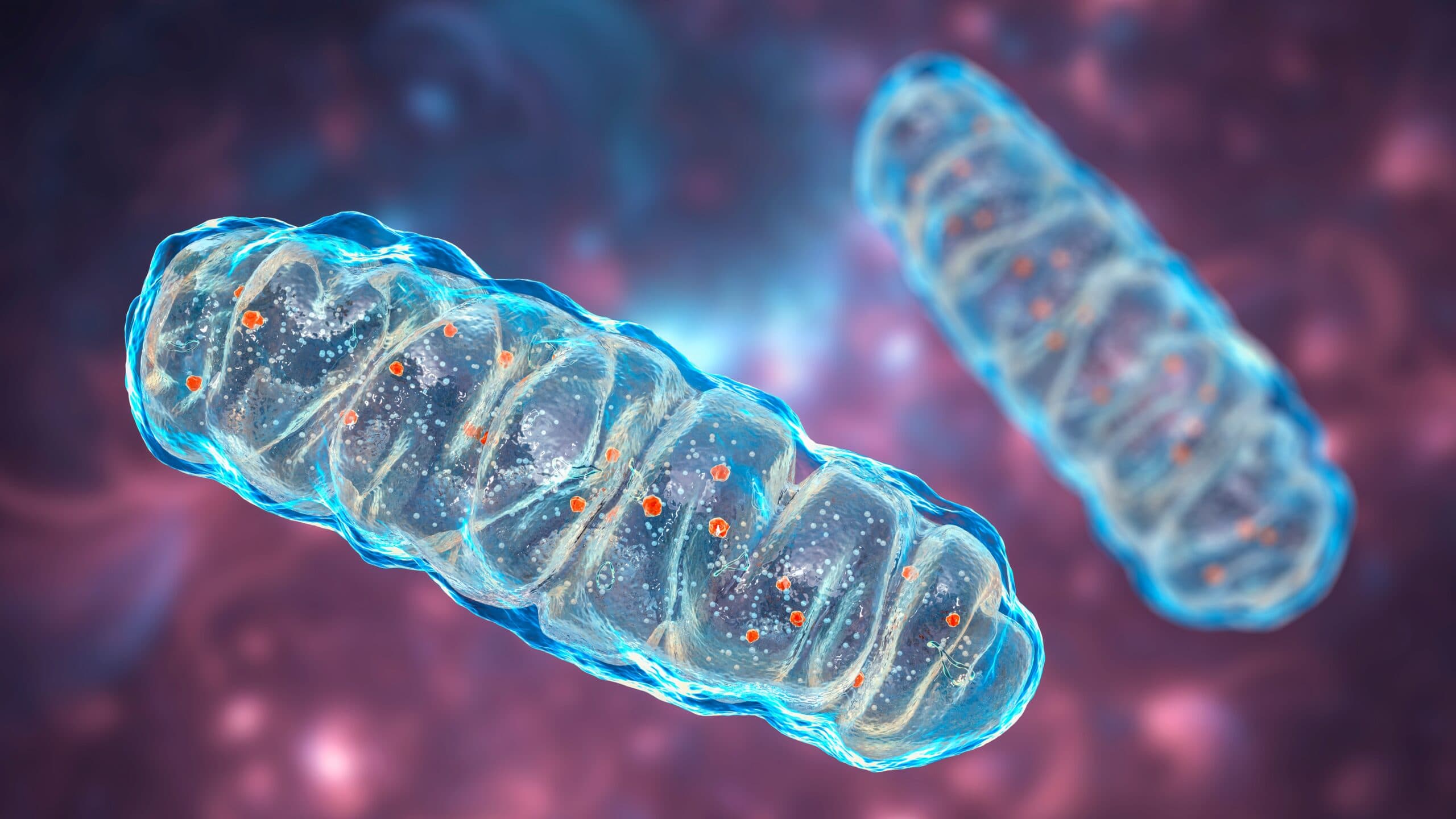 Mitochondrial Health: A Key to Combat Long COVID